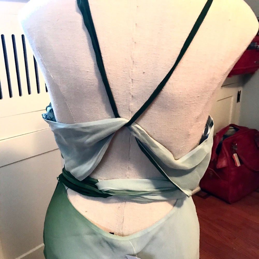NWT BCBG MAXAZRIA Green & Brown Ombre Silk Dress - Picture 5 of 8